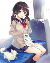 Rule 34 | 1girl, animal, bench, black hair, black socks, blue sailor collar, blue skirt, blush, bow, bowtie, breasts, brown eyes, brown hair, cardigan, cat, cherry blossoms, chihuahua, closed mouth, dog, feet out of frame, food, hair bow, head tilt, holding, holding food, kneehighs, long hair, long sleeves, looking at viewer, low twintails, medium breasts, miniskirt, original, petals, pink bow, pleated skirt, pocky, red bow, red neckwear, revision, sailor collar, sanbasou, school uniform, serafuku, shirt, sitting, sitting on lap, sitting on person, skirt, sleeves past wrists, smile, socks, twintails, white shirt