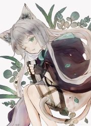 Rule 34 | 1girl, animal ears, arknights, book, cat ears, cat girl, cat tail, cloak, dress, fang, fingerless gloves, gloves, green eyes, hanato koucha, holding, holding book, hood, hood down, hooded cloak, long hair, one eye closed, parted lips, rosmontis (arknights), silver hair, solo, tail, thigh strap, white dress