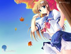 Rule 34 | 00s, 1girl, autumn leaves, blue eyes, hatano konami, highres, long hair, school uniform, solo, tree, underbar summer
