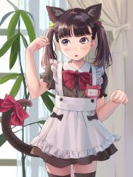 Rule 34 | 1girl, absurdres, animal ears, anyannko, apron, black thighhighs, blush, bow, bowtie, brown eyes, brown hair, cat ears, cat tail, hair ornament, highres, indoors, maid, maid apron, maid headdress, medium hair, open mouth, original, paw pose, plant, potted plant, red bow, red bowtie, solo, tail, thighhighs, twintails, window