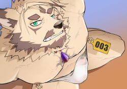 Rule 34 | 1boy, animal ears, another eidos-r, bara, beard, blush, brown fur, bulge, clenched teeth, dog boy, dog ears, erection, erection under clothes, facial hair, from above, full beard, furry, furry male, highres, large pectorals, looking at viewer, male focus, muscular, muscular male, nipples, pectorals, pm (pmaker owo), short hair, solo, teeth, thick beard, topless male, zacharoff (another eidos)