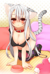 Rule 34 | 1girl, :&lt;, all fours, animal ears, argyle, argyle clothes, argyle legwear, bare shoulders, bent over, blush, bowl, breasts, cat ears, cat tail, cleavage, collar, highres, inuue kiyu, large breasts, long hair, off shoulder, original, patterned legwear, pillow, red eyes, solo, tail, tank top, tears, thighhighs, white hair