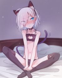 Rule 34 | 1girl, animal ear fluff, animal ears, azuma shino, bad id, bad twitter id, bed, bed sheet, black panties, blue eyes, blush, bra, cat cutout, cat ears, cat tail, clothing cutout, elf, embarrassed, extra ears, flat chest, hair over eyes, highres, neck bell, nowareno (azuma shino), original, panties, pointy ears, solo, tail, thighhighs, underwear, white hair