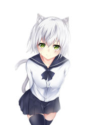 Rule 34 | 1girl, absurdres, alternate costume, animal ears, arms behind back, black neckwear, black sailor collar, black skirt, black thighhighs, blush, breasts, cat ears, cat girl, cat tail, closed mouth, collarbone, commentary, cowboy shot, facial scar, fate/grand order, fate (series), green eyes, hair between eyes, highres, jack the ripper (fate/apocrypha), kemonomimi mode, leaning forward, looking at viewer, mo ying yu, pleated skirt, sailor collar, scar, scar across eye, scar on cheek, scar on face, school uniform, serafuku, shirt, silver hair, simple background, skirt, small breasts, smile, solo, tail, thighhighs, white background, white shirt