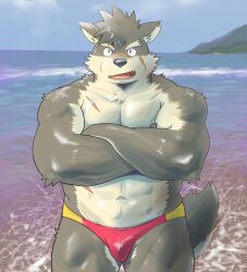 Rule 34 | 1boy, :d, abs, alternate muscle size, animal ears, bad id, bad tag, bad twitter id, bara, brown fur, bulge, crossed arms, dog boy, dog ears, fangs, fangs out, fawn2661, furry, furry male, highres, male focus, male swimwear, moritaka (housamo), multicolored male swimwear, multiple scars, muscular, muscular male, navel, open mouth, pectoral squeeze, pectorals, photo background, red male swimwear, scar, smile, solo, thick eyebrows, tokyo houkago summoners, yellow male swimwear