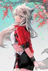Rule 34 | 1girl, alternate costume, animal ears, arknights, arms behind back, black skirt, blouse, cherry blossoms, cowboy shot, cropped shirt, gradient background, green background, grey eyes, hair ornament, hairclip, highres, infection monitor (arknights), jacket, lappland (arknights), long hair, looking at viewer, material growth, minilang, open clothes, open jacket, oripathy lesion (arknights), parted lips, red jacket, shirt, skirt, solo, tail, thigh strap, tree, white hair, white shirt, wolf ears, wolf girl, wolf tail