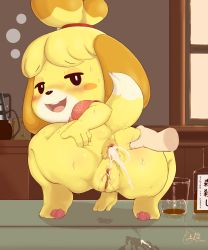 Rule 34 | 1girl, absurdres, after anal, alcohol, animal crossing, animal ears, animal hands, anus, ass, ass grab, blush, bottle, bottomless, cleft of venus, cum, cum in ass, cup, disembodied hand, dog ears, dog tail, from behind, full body, furry, grabbing another&#039;s ass, hand on own ass, highres, indoors, isabelle (animal crossing), looking at viewer, looking back, nintendo, pussy, pussy juice, sake kemosalmon, short sleeves, smile, solo focus, squatting, sweat, tail, topknot, uncensored, window