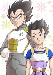 Rule 34 | 10s, 2boys, armor, black eyes, black hair, cabba, dragon ball, dragon ball super, floral background, fuoore (fore0042), gloves, hand on own hip, height difference, kyabe, male focus, multiple boys, smile, spiked hair, vegeta, white gloves