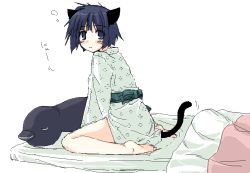 Rule 34 | animal ears, barefoot, cat ears, cat tail, japanese clothes, oekaki, pajamas, sleepy, solo, tail