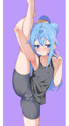 Rule 34 | 1boy, absurdres, arm up, armpits, blue eyes, blue hair, blush, bulge, hacka doll, hacka doll 3, highres, himesamaiove, long hair, male focus, penis, purple background, shorts, smile, solo, standing, standing on one leg, trap, v