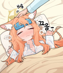 1girl animal_ear_fluff animal_ears blue_archive blush cat_ears cat_girl choi1 closed_eyes closed_mouth hair_between_eyes head_on_pillow headpat highres long_hair mari_(blue_archive) on_bed orange_hair shirt sick sidelocks solo_focus sweatdrop under_covers wet wet_clothes wet_shirt wet_towel