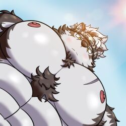 Rule 34 | 1boy, abs, ainu clothes, animal ears, bara, beigenaughtydog, chest hair, chest tuft, foreshortening, from below, furry, furry male, grey fur, grey hair, headband, horkeu kamui, large pectorals, light blush, looking at viewer, looking down, male focus, meme, muscular, muscular male, nipples, nude, pectoral focus, pectorals, photo-referenced, short hair, solo, thick eyebrows, tokyo houkago summoners, two-tone fur, upper body, wolf boy, wolf ears, yellow eyes, yur oc like this (meme)