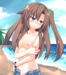 Rule 34 | 10s, 1girl, beach, blush, bow, breasts, brown hair, green eyes, hair bow, hair ornament, himajin (starmine), if (neptunia), long hair, neptune (series), nipples, small breasts, solo, standing, third-party edit, topfreedom, topless