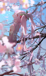Rule 34 | 00kashian00, 1girl, absurdres, blue sky, blurry, blurry foreground, cherry blossoms, cherry hair ornament, collared shirt, detached sleeves, food-themed hair ornament, from side, hair between eyes, hair ornament, hatsune miku, highres, long hair, looking at viewer, looking to the side, pink eyes, pink hair, pink skirt, pink sleeves, pink thighhighs, pleated skirt, sakura miku, shirt, shoulder tattoo, sitting on branch, skirt, sky, sleeveless, sleeveless shirt, smile, solo, tattoo, thighhighs, twintails, vocaloid, white shirt, wide sleeves