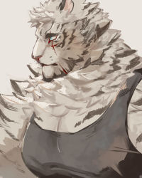 Rule 34 | 1boy, animal ears, arknights, bad id, bad twitter id, bara, black tank top, blood, blood on face, fluffy, furry, furry male, highres, hinokumo f, large pectorals, looking to the side, male focus, mountain (arknights), muscular, muscular male, pectoral cleavage, pectorals, portrait, scar, scar across eye, scar on face, short hair, sidepec, solo, tank top, tiger boy, tiger ears, white fur, white hair