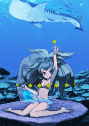 Rule 34 | 1girl, barefoot, bikini, blue eyes, blue hair, enchi, fish, floating screen, holographic interface, holographic monitor, matching hair/eyes, ocean, screen, smile, solo, stylus, swimsuit, underwater, water, whale shark
