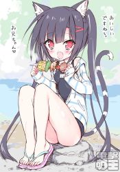 Rule 34 | 1girl, animal ears, black hair, blush, cat ears, dengeki moeou, dokidoki sister aoi-chan, eating, flip-flops, food, full body, hair ornament, hairclip, jacket, kohinata aoi (dokidoki sister aoi-chan), legs, long hair, open clothes, open jacket, open mouth, outdoors, red eyes, rock, sandals, school swimsuit, sitting, smile, solo, stream, sweat, swimsuit, swimsuit under clothes, tail, takahashi tetsuya, toes, twintails, very long hair, water, watermark