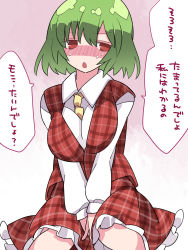 Rule 34 | 1girl, ascot, blush, breasts, breasts squeezed together, collared shirt, facing viewer, frills, green hair, hammer (sunset beach), hands on lap, highres, kazami yuuka, long sleeves, plaid, plaid vest, purple background, red eyes, red vest, shirt, sitting, solo, sweat, touhou, translation request, vest, white background, white shirt, yellow ascot