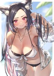 Rule 34 | 1girl, animal ears, armpits, black hair, blue sky, blurry, blurry background, blush, breasts, ear piercing, gougasha akira, hanging breasts, holding own hair, jewelry, large breasts, long hair, monaka hitotsub, multicolored hair, navel, necklace, piercing, pink eyes, pink hair, sky, smile, swimsuit, transparent jacket, two-tone hair, virtual youtuber, wet, wet clothes