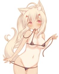 Rule 34 | 1girl, animal ear fluff, animal ears, ayanami (azur lane), azur lane, bare arms, bare shoulders, bikini, bikini in mouth, bikini pull, black bikini, blush, breasts, cleavage, closed mouth, clothes in mouth, clothes pull, collarbone, commentary request, fox ears, fox girl, fox tail, groin, hair between eyes, hair ornament, hairclip, kemonomimi mode, light brown hair, long hair, medium breasts, mouth hold, navel, one-piece tan, pulled by self, red eyes, sakurato ototo shizuku, simple background, solo, swimsuit, tail, tail raised, tan, tanline, untied bikini, very long hair, white background