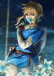 Rule 34 | 1boy, belt, bishounen, blonde hair, blue eyes, blue tunic, cloud, commentary request, covering own mouth, earrings, field, fingerless gloves, flower, gauntlets, gloves, highres, holding, holding flower, jewelry, left-handed, link, long hair, looking at viewer, male focus, night, night sky, nintendo, outdoors, pointy ears, sakuya 996, sheath, sheathed, shield, shield on back, short sleeves, sky, solo, star (sky), starry sky, sword, the legend of zelda, the legend of zelda: breath of the wild, tunic, weapon, weapon on back