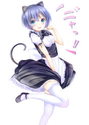 Rule 34 | 10s, 1girl, animal ears, ano natsu de matteru, aqua eyes, blue hair, blush, bow, cat ears, cat tail, highres, long legs, maid, morerin, paw pose, short hair, simple background, solo, standing, standing on one leg, tail, tanigawa kanna, thighhighs, white background, white thighhighs