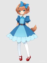 Rule 34 | 1girl, animal ears, ascot, belt, blue bow, blue dress, blue eyes, bow, brooch, brown hair, closed mouth, delicious party precure, dog ears, dog tail, dress, full body, grey background, heart, heart brooch, highres, jewelry, looking at viewer, mary janes, michio (fuelmeter), pam-pam (precure), pam-pam (precure) (human), pantyhose, precure, red footwear, shoes, short hair, simple background, smile, solo, standing, tail, white pantyhose
