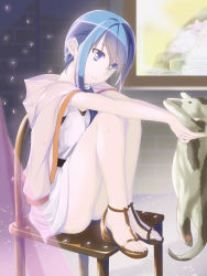 Rule 34 | 10s, 1girl, animal, bare legs, blue eyes, blue hair, chair, clothes on shoulders, eye contact, hai to gensou no grimgar, hair over shoulder, highres, holding animal, hood, hoodie, kakari, knees up, long hair, looking at another, low ponytail, matching hair/eyes, merry (grimgar), parted lips, petals, sandals, sidelocks, sitting, smile, solo, tunic