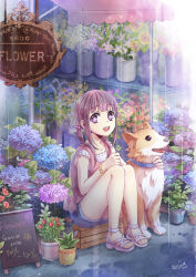 Rule 34 | 10s, 1girl, 2013, :d, animal, animal hug, bare legs, bare shoulders, blouse, blunt bangs, bracelet, clover, collar, dog, flower, flower pot, four-leaf clover, full body, hair flower, hair ornament, hair over shoulder, highres, hydrangea, jewelry, legs, lily (flower), long hair, looking at viewer, open mouth, original, outdoors, pink shirt, plant, potted plant, purple eyes, purple hair, rain, sandals, shelf, shirt, shop, shorts, sign, signature, sitting, sleeveless, smile, solo, sunflower, toes, twintails, zenyu