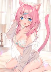 Rule 34 | 1girl, :d, animal ears, blue eyes, breasts, cat ears, cat girl, cat tail, clothes down, fang, highres, lamp, long sleeves, looking at viewer, medium breasts, medium hair, natsuki marina, open clothes, open mouth, open shirt, original, pink hair, shirt, sitting, skin fang, sleeves past wrists, smile, tail, wariza, white shirt