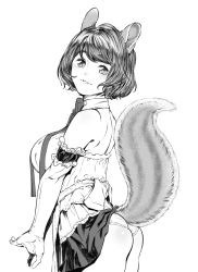 Rule 34 | 1girl, animal ears, bad id, bad twitter id, bare shoulders, breasts, elbow gloves, female focus, frills, from behind, gloves, greyscale, inactive account, large breasts, looking back, microskirt, monochrome, original, panties, parted lips, short hair, simple background, skirt, smile, solo, squirrel ears, squirrel tail, tail, underwear, white background, xxzero