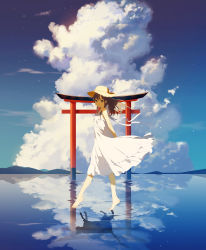 Rule 34 | 1girl, absurdres, animal, bad id, bad pixiv id, bare shoulders, barefoot, blue sky, brown eyes, brown hair, cat, closed mouth, cloud, cumulonimbus cloud, day, different reflection, dress, hat, highres, lake, long hair, looking at viewer, looking to the side, mountain, original, outdoors, reflection, ribbon, sky, sleeveless, sleeveless dress, smile, solo, straw hat, tiptoes, torii, walking, walking on liquid, water, white dress, white ribbon, zhibuji loom