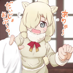 Rule 34 | 10s, 111192, 1girl, alpaca ears, alpaca suri (kemono friends), alpaca tail, animal ears, blue eyes, blurry, blush, check translation, commentary request, depth of field, flustered, flying sweatdrops, fur collar, hair over one eye, hair tubes, kemono friends, long sleeves, looking at viewer, neck ribbon, open mouth, rag, ribbon, short hair, shorts, solo, sweatdrop, sweater, tail, translation request, wavy mouth, white hair