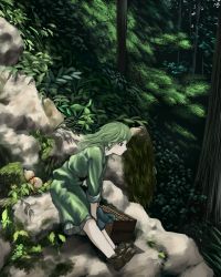 Rule 34 | 1girl, box, brown footwear, closed mouth, commentary request, forest, full body, gourd, green eyes, green hair, green shirt, green skirt, kajatony, looking afar, medium hair, moss, nature, plant, rock, shirt, shoes, skirt, sleeves rolled up, solo, touhou, tree, yamashiro takane