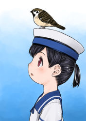 Rule 34 | 1girl, animal, animal on head, bird, bird on head, black hair, blue sailor collar, dress, from side, gradient background, harukaze unipo, hat, hiburi (kancolle), kantai collection, on head, parted lips, ponytail, profile, red eyes, sailor collar, sailor dress, sailor hat, short ponytail, simple background, solo, white dress, white hat