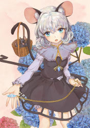 Rule 34 | 1girl, animal ears, basket, blue eyes, capelet, cowboy shot, dowsing rod, ef (ppps33), flipped hair, flower, frilled sleeves, frills, hair between eyes, hydrangea, jewelry, long sleeves, looking at viewer, mouse (animal), mouse ears, nazrin, open mouth, pendant, pink background, short hair, silver hair, skirt, skirt set, solo, tareme, touhou