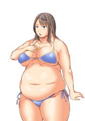 Rule 34 | 1girl, blue eyes, breasts, brown hair, fat, huge breasts, wakatsuki (kanchou hatto)