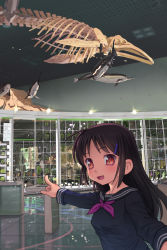 Rule 34 | 1girl, brown hair, hair ornament, hairclip, holding hands, indoors, meow (nekodenki), original, photo-referenced, pointing, pov, real world location, red eyes, school uniform, serafuku, skeleton, solo, whale