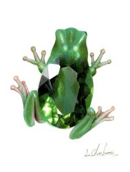 Rule 34 | abe yuichiro, animal focus, colored pencil (medium), crystal, frog, from above, gem, green gemstone, highres, no humans, original, simple background, traditional media, white background