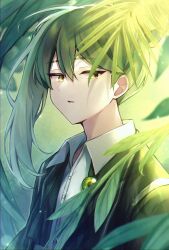 Rule 34 | 1boy, ascot, brooch, coat, collared shirt, commentary, folded ponytail, gem, green ascot, green coat, green gemstone, green hair, jewelry, leaf, library of ruina, long sleeves, looking at viewer, mikoto0x0, netzach (project moon), parted lips, project moon, shirt, solo, undone ascot, upper body, white shirt
