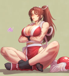 Rule 34 | 1girl, black socks, breasts, brown eyes, brown hair, fatal fury, fujii eishun, green background, hair ornament, high ponytail, highres, japanese clothes, large breasts, long hair, ninja, ponytail, revealing clothes, rope, shiranui mai, simple background, sitting, socks, solo, the king of fighters, very long hair