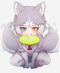 Rule 34 | 1girl, afterimage, animal ear fluff, animal ears, between legs, blue eyes, boots, dog (mixed breed) (kemono friends), dog ears, dog tail, elbow gloves, fang, frisbee, fur trim, gloves, grey hair, hand between legs, harness, heterochromia, jacket, japari symbol, kemono friends, multicolored hair, nyifu, pantyhose, pleated skirt, short hair, short sleeves, skirt, solo, squatting, tail, tail wagging, white hair, yellow eyes