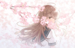 Rule 34 | 1girl, arms at sides, blurry, blurry foreground, bokeh, branch, brown eyes, cherry blossoms, covering own mouth, covering privates, depth of field, expressionless, floating hair, flower, highres, light brown hair, light particles, long hair, looking at viewer, looking back, necojishi, original, pink flower, puffy short sleeves, puffy sleeves, sailor collar, school uniform, short sleeves, solo, upper body