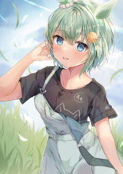 Rule 34 | 1girl, animal ears, black shirt, blue eyes, breasts, cleavage, collarbone, commentary request, cowboy shot, grass, green hair, hair ornament, hairpin, hand in own hair, highres, horse ears, horse girl, looking at viewer, maruro, medium breasts, open mouth, outdoors, overalls, seiun sky (umamusume), shirt, short hair, short sleeves, solo, umamusume