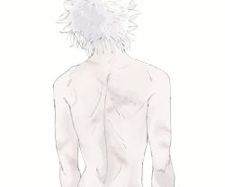 Rule 34 | 1boy, back, back focus, from behind, highres, hunter x hunter, killua zoldyck, male focus, scar, scar on back, silver hair, simple background, solo, spiked hair, topless male, toripippi 7, upper body, white background