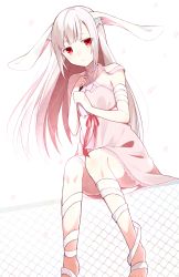 Rule 34 | 1girl, animal ears, bandaged arm, bandages, blunt bangs, chisumi, clenched hands, commentary request, dress, fence, highres, long hair, looking at viewer, original, pink dress, rabbit ears, red eyes, silver hair, sitting, solo