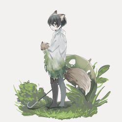 Rule 34 | 1boy, animal ears, black eyes, black footwear, black hair, black pants, boots, closed mouth, coat, drifting fox, e.g.o (project moon), fox, fox ears, fox tail, grass, highres, hood, hood down, limbus company, looking at viewer, male focus, omimimi 01, pants, project moon, simple background, solo, tail, umbrella, white background, white coat, yi sang (project moon)