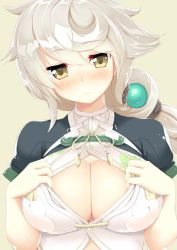 Rule 34 | 10s, 1girl, asymmetrical hair, b-ginga, blush, braid, breasts, cleavage, cleavage cutout, clothing cutout, cloud print, crop top, female focus, hair between eyes, hair ornament, kantai collection, large breasts, light smile, long hair, looking at viewer, open clothes, short sleeves, silver background, silver hair, simple background, single braid, solo, unryuu (kancolle), very long hair, yellow eyes
