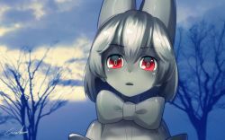Rule 34 | 10s, 1girl, alternate color, animal ears, bow, bowtie, cellval, cloud, colored skin, commentary request, grey skin, hair between eyes, kemono friends, looking at viewer, outdoors, parted lips, red eyes, short hair, signature, silver hair, solo, welt (kinsei koutenkyoku)