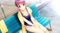 Rule 34 | 1girl, bench, between legs, blue one-piece swimsuit, breasts, brown eyes, brown hair, cleavage, closed mouth, competition swimsuit, day, doukyuusei, game cg, hand between legs, highres, long hair, looking at viewer, medium breasts, official art, one-piece swimsuit, outdoors, sakuragi mai, school swimsuit, sidelocks, sitting, smile, solo, sumeragi kohaku, swimsuit, yellow towel